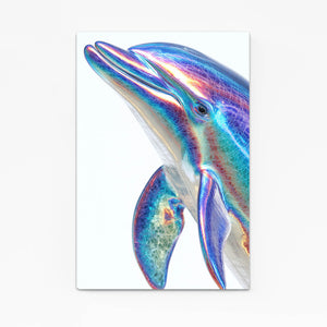 Bright Dolphin Art