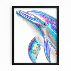 Bright Dolphin Art