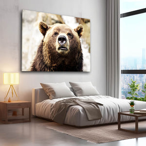 Brown Bear Canvas