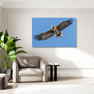 Brown Bird Wall Art | MusaArtGallery™
