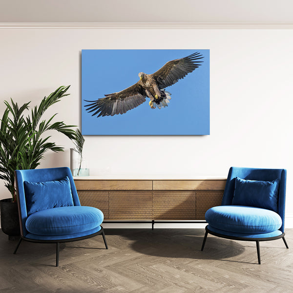 Brown Bird Wall Art | MusaArtGallery™