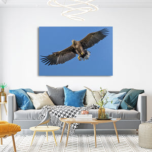 Brown Bird Wall Art | MusaArtGallery™