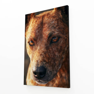 Brown Dog Art