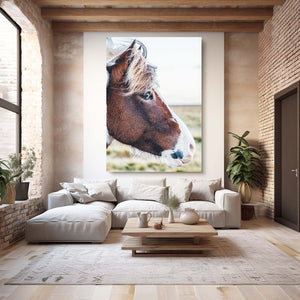 Brown Horse Art
