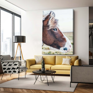 Brown Horse Art