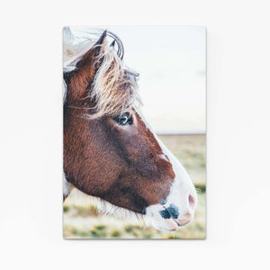 Brown Horse Art