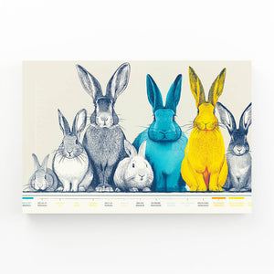 Bunny Rabbit Wall Art Horizontal