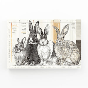 Bunny Rabbit Wall Art