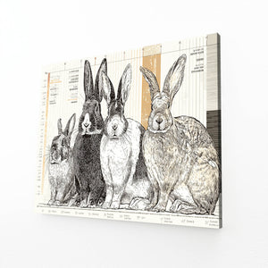 Bunny Rabbit Wall Art