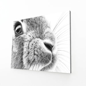 Bunny Wall Art Black And White
