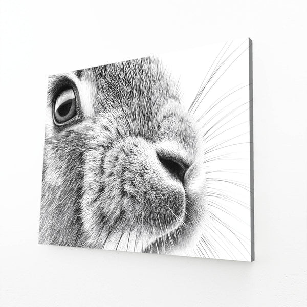 Bunny Wall Art Black And White