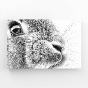 Bunny Wall Art Black And White