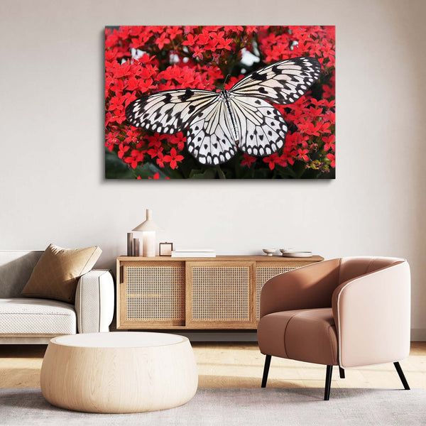Butterflies Wall Art | MusaArtGallery™