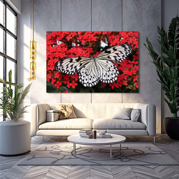 Butterflies Wall Art | MusaArtGallery™