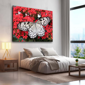 Butterflies Wall Art | MusaArtGallery™