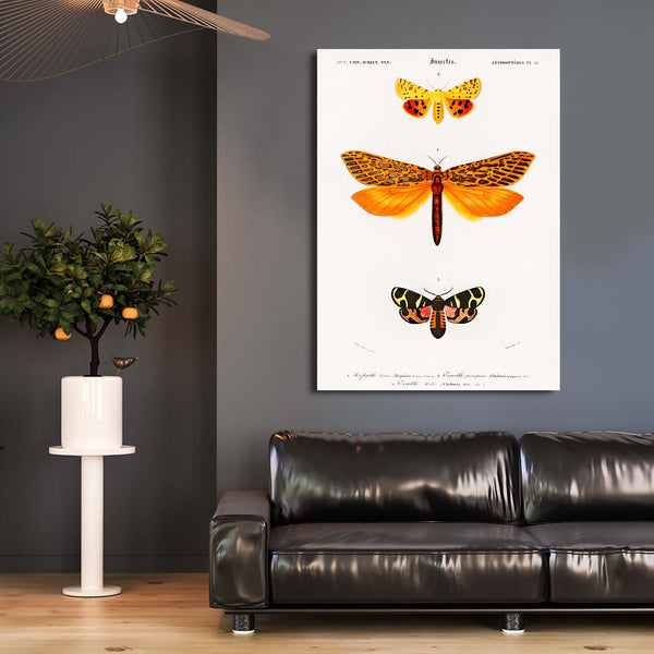 Butterfly And Dragonfly Wall Art | MusaArtGallery™