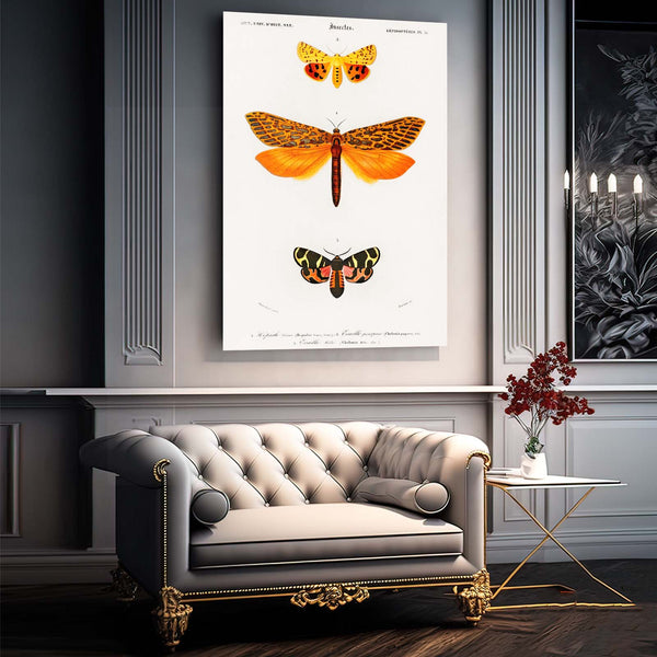 Butterfly And Dragonfly Wall Art | MusaArtGallery™