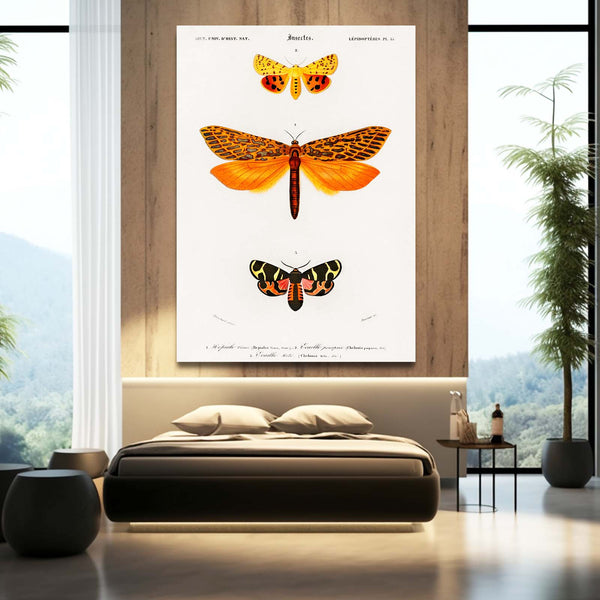 Butterfly And Dragonfly Wall Art | MusaArtGallery™