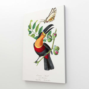 Butterfly Heart Wall Art | MusaArtGallery™