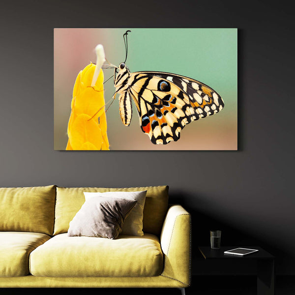 Butterfly Nursery Wall Art | MusaArtGallery™