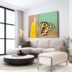 Butterfly Nursery Wall Art | MusaArtGallery™