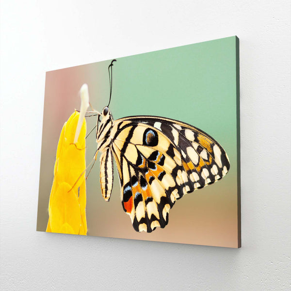 Butterfly Nursery Wall Art | MusaArtGallery™