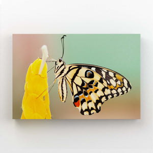 Butterfly Nursery Wall Art | MusaArtGallery™