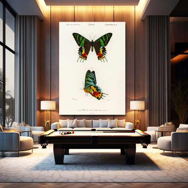 Butterfly Wall Art Decor | MusaArtGallery™