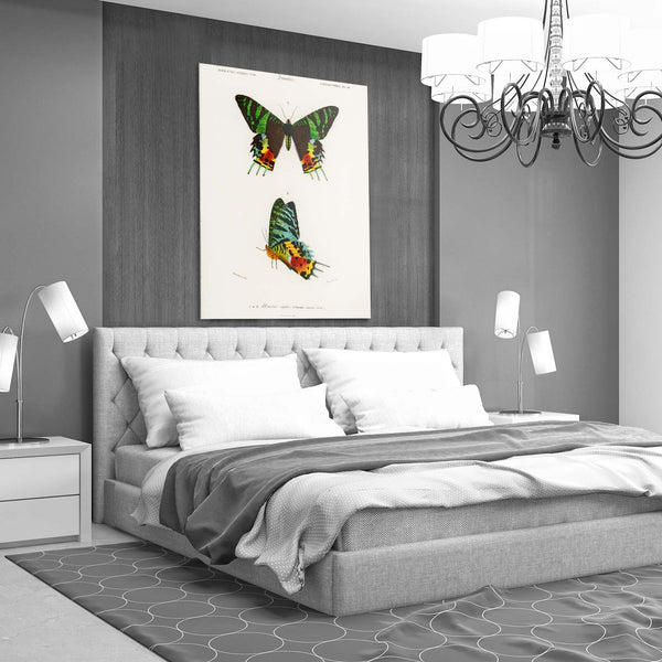 Butterfly Wall Art Decor | MusaArtGallery™