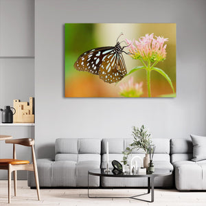 Butterfly Wall Art Prints | MusaArtGallery™