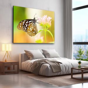 Butterfly Wall Art Prints | MusaArtGallery™