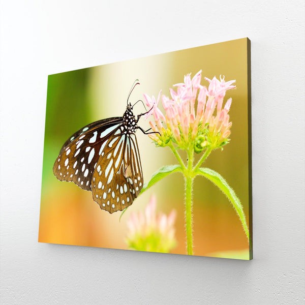 Butterfly Wall Art Prints | MusaArtGallery™