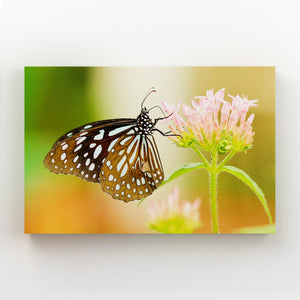 Butterfly Wall Art Prints | MusaArtGallery™