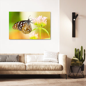 Butterfly Wall Art Prints | MusaArtGallery™