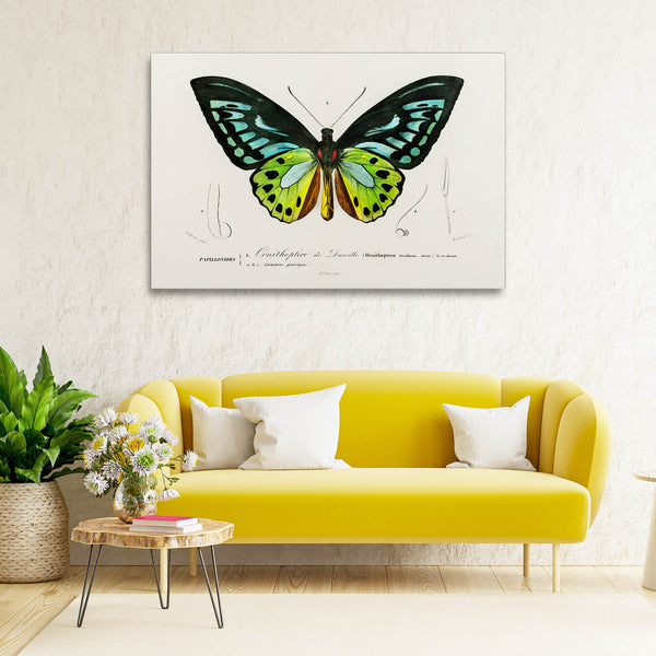 Butterfly Wall Art Stencil | MusaArtGallery™