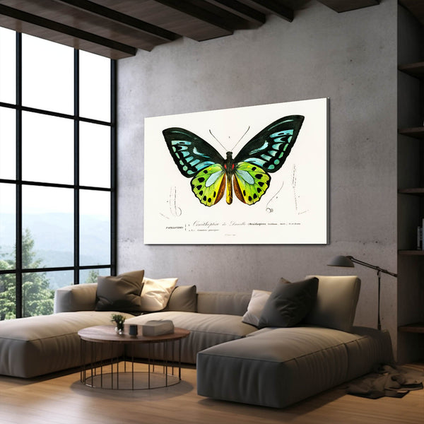 Butterfly Wall Art Stencil | MusaArtGallery™