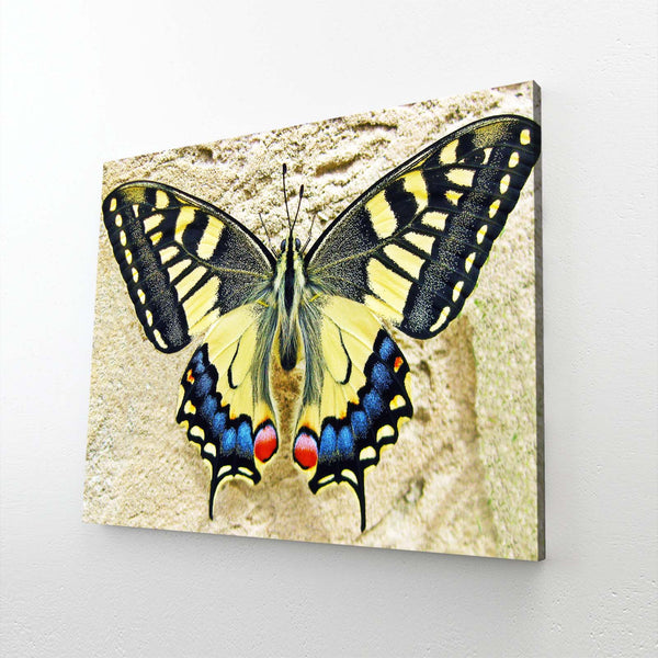 Butterfly Wall Art | MusaArtGallery™