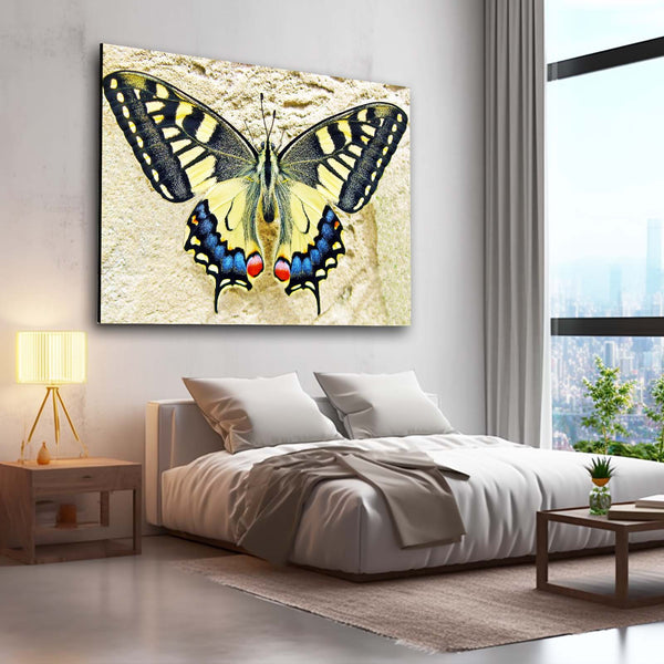 Butterfly Wall Art | MusaArtGallery™