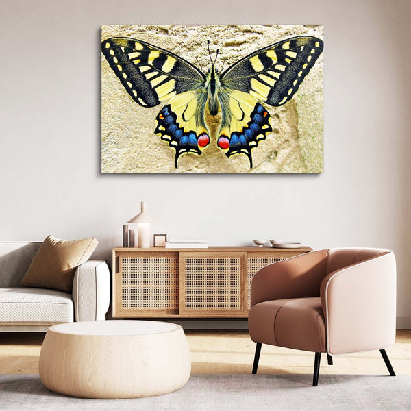 Butterfly Wall Art | MusaArtGallery™