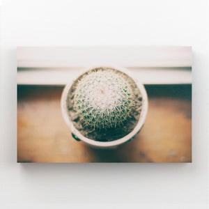 Cactus Art Canvas | MusaArtGallery™
