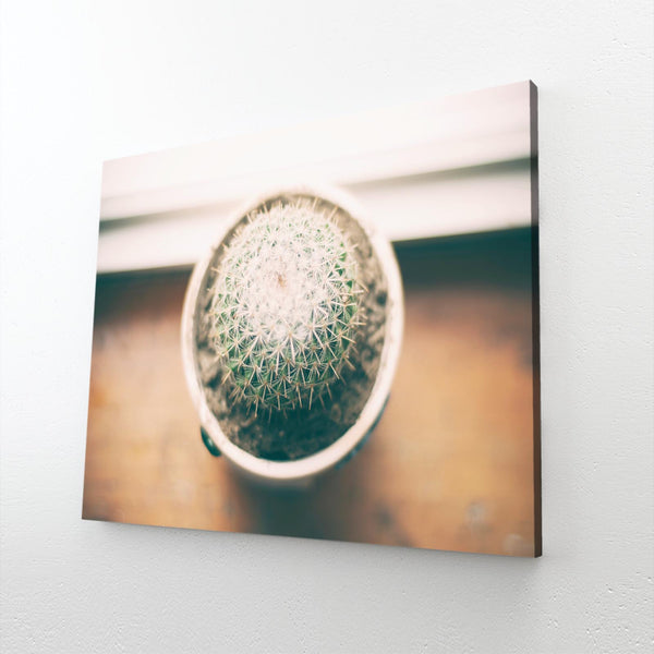 Cactus Art Canvas | MusaArtGallery™