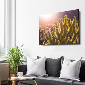 Cactus Art Drawing | MusaArtGallery™