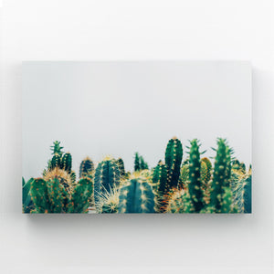 Cactus Art Images | MusaArtGallery™