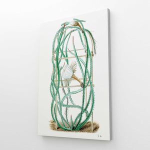 Cactus Art Simple | MusaArtGallery™