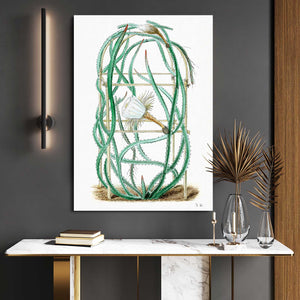 Cactus Art Simple | MusaArtGallery™