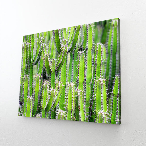 Cactus Art Wall Design | MusaArtGallery™
