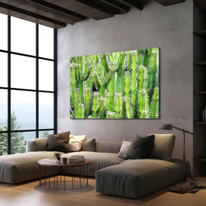 Cactus Art Wall Design | MusaArtGallery™
