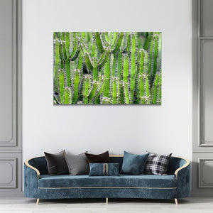 Cactus Art Wall Design | MusaArtGallery™