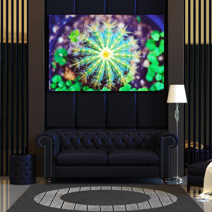 Cactus Canvas Art | MusaArtGallery™