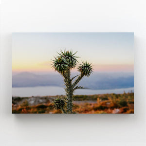 Cactus Desert Art | MusaArtGallery™